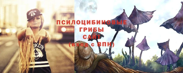 герыч Верхний Тагил